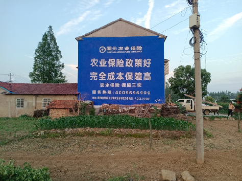 金湖墙体广告为何受追捧？